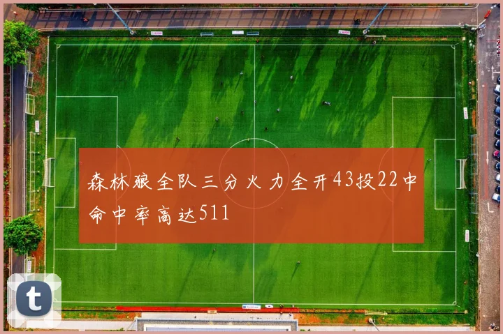 森林狼全队三分火力全开43投22中命中率高达511